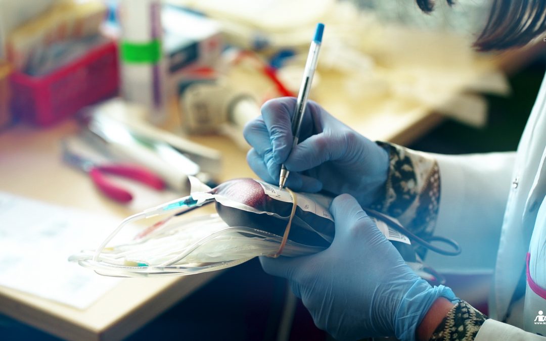 Thank you for your commitment