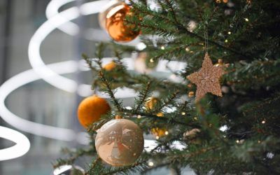Zdrowych i radosnych świąt Bożego Narodzenia życzy Eximius Park