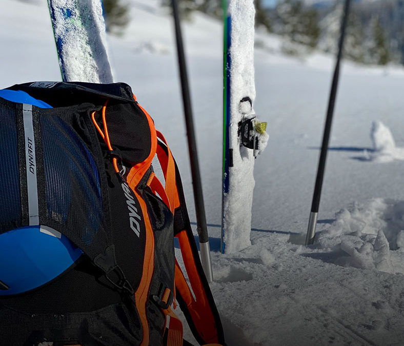 Physical activity in the fresh air. We have interesting suggestions.