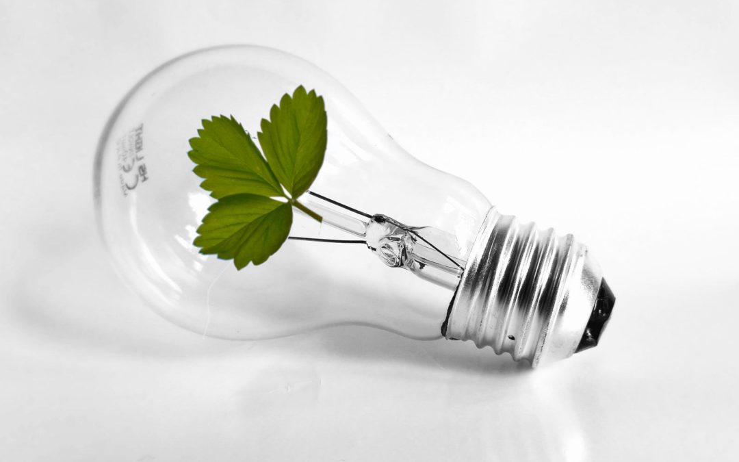 Ecology is important – let’s remember about the Earth Hour initiative!