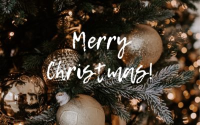 Healthly and joyful Christmas greetings from Eximius Park Team and a Happy New Year