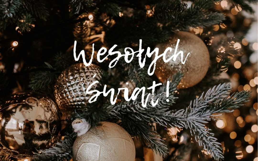 Radosnych i&nbsp;zdrowych Świąt Bożego Narodzenia życzy Eximius Park