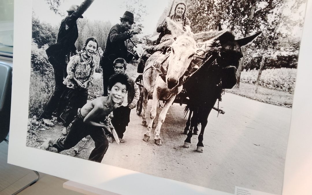 Transitional Places – MuFo photography exhibition in Eximius Park spaces