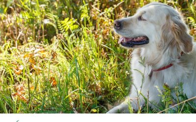 Nosem.pl – new tenant in building 200